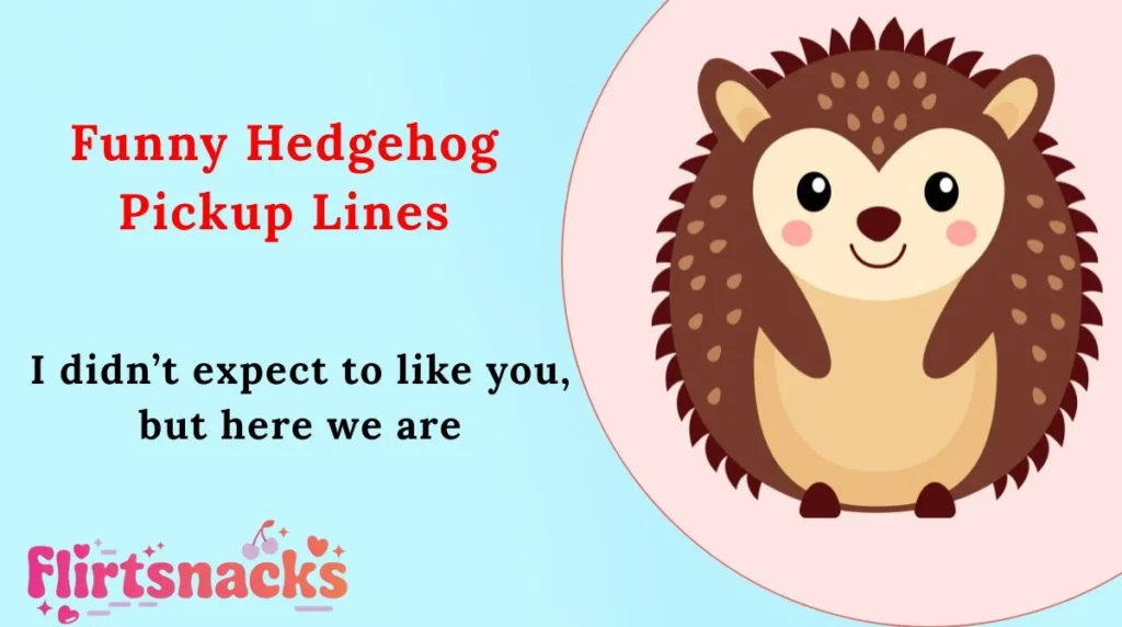Funny Hedgehog Pickup Lines