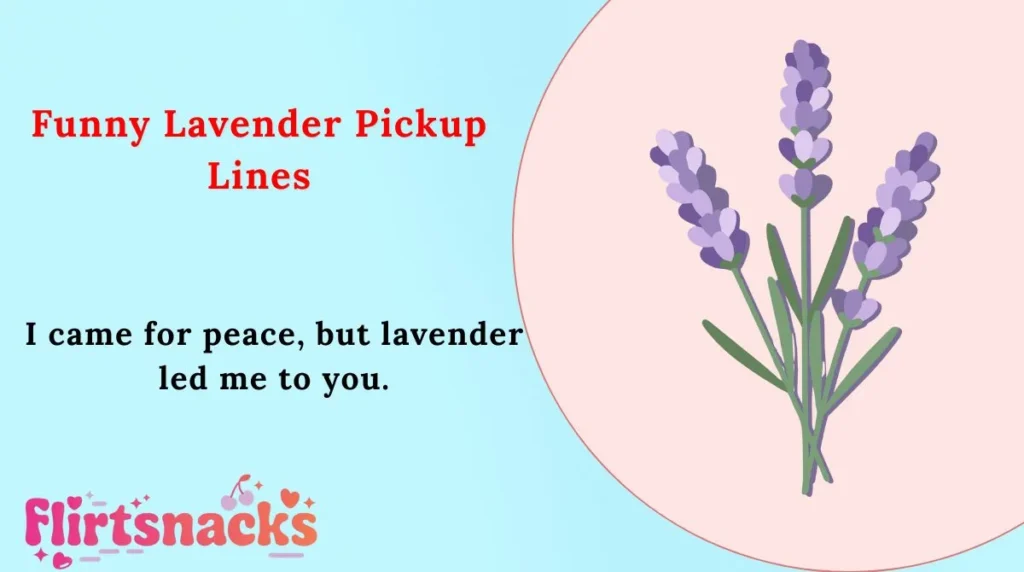 Funny Lavender Pickup Lines