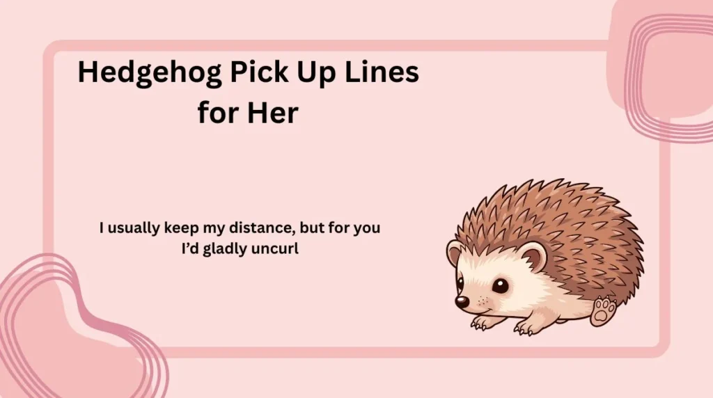 Hedgehog Pick Up Lines for Her