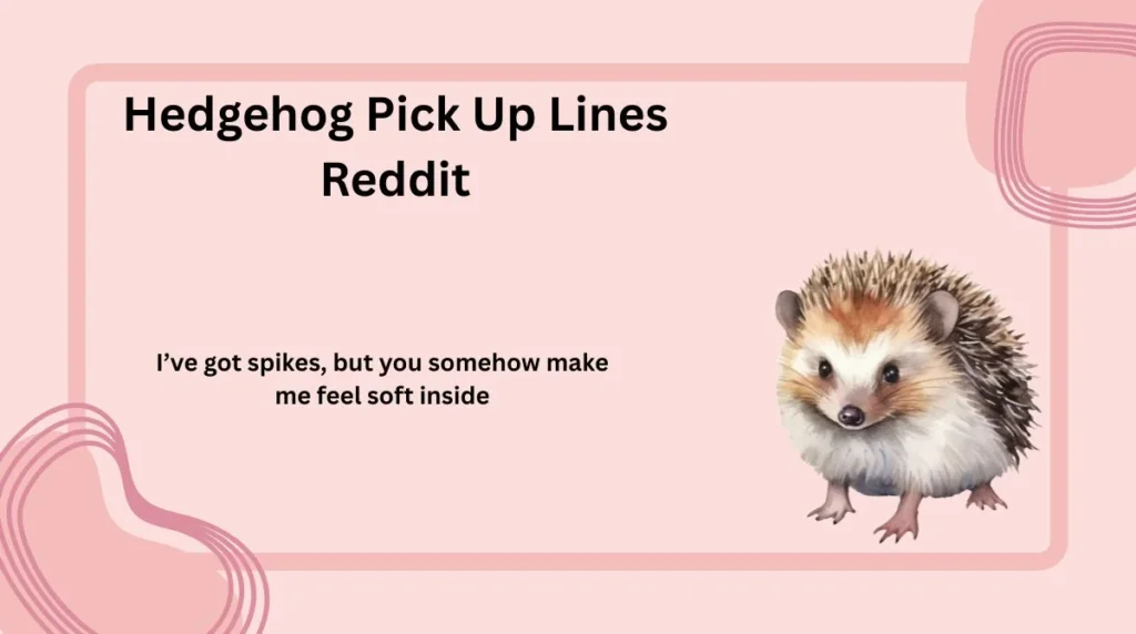 Hedgehog Pick Up Lines Reddit