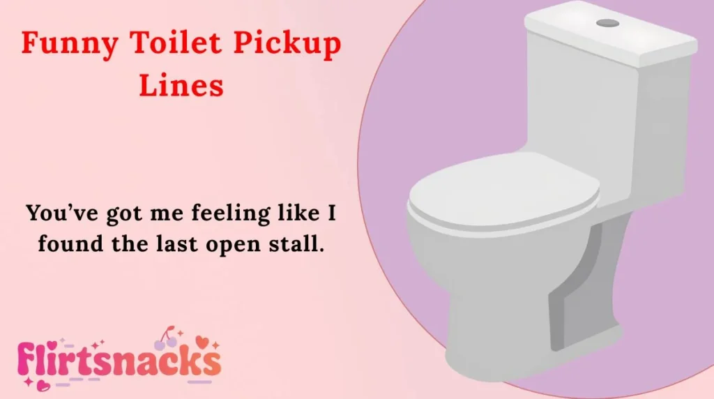 Funny Toilet Pickup Lines