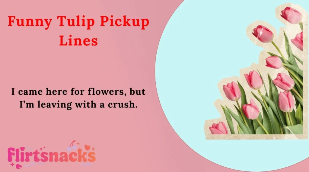 Funny Tulip Pickup Lines