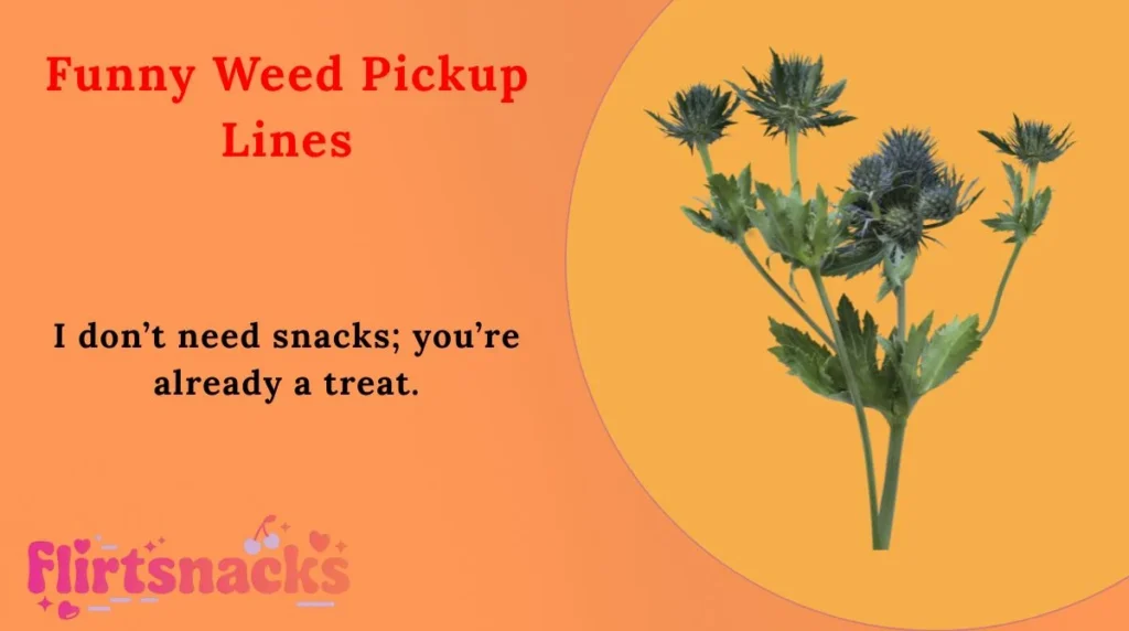 Funny Weed Pickup Lines