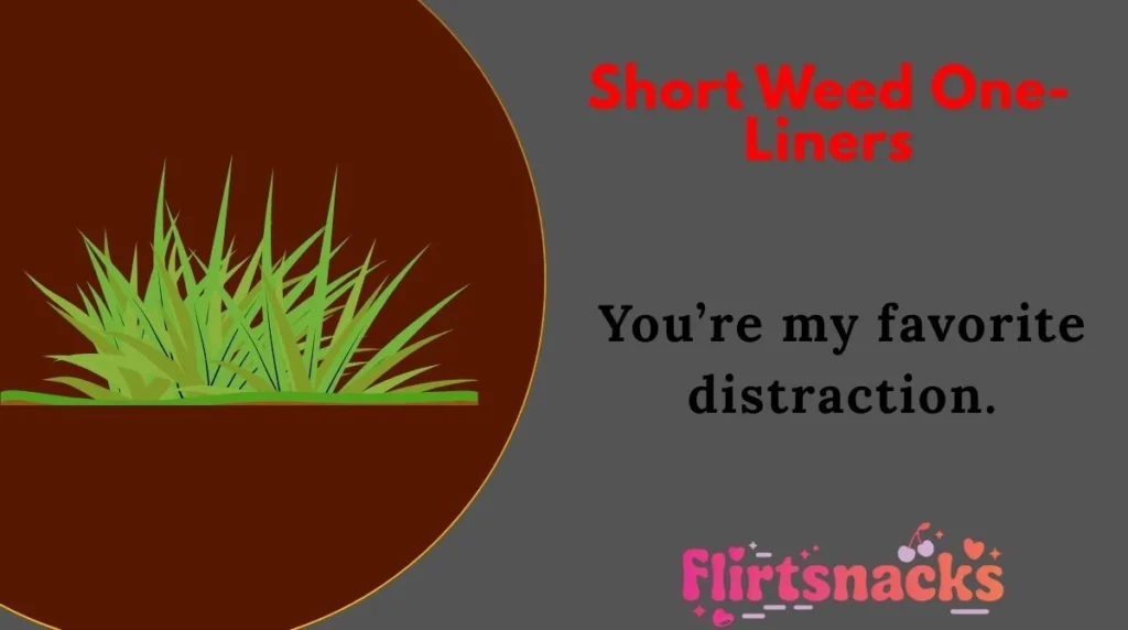 Short Weed One-Liners