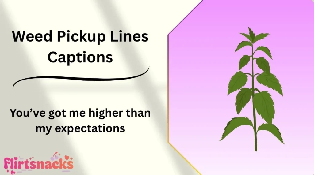Weed Pickup Lines Captions