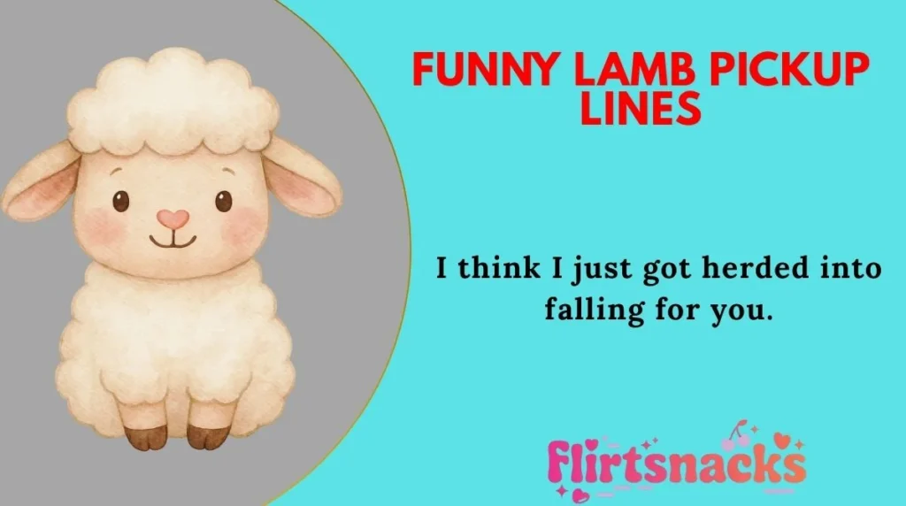 Funny Lamb Pickup Lines