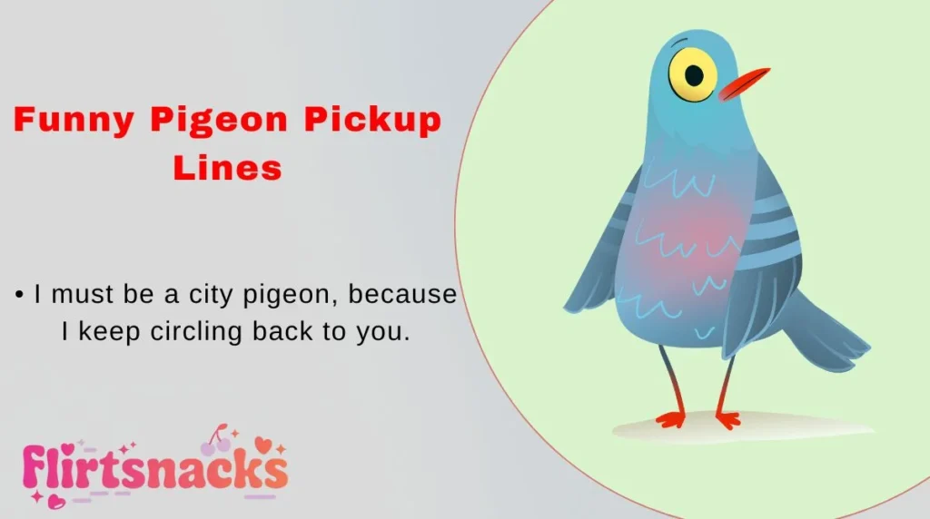 Funny Pigeon Pickup Lines