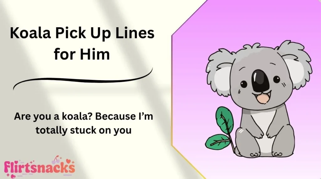 Koala Pick Up Lines for Him