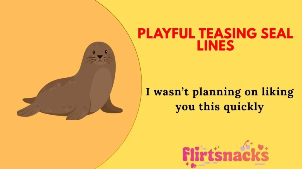 Playful Teasing Seal Lines