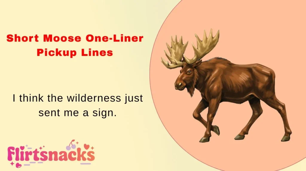 Short Moose One-Liner Pickup Lines