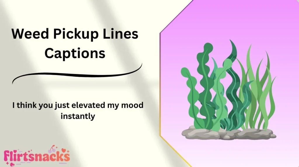 Weed Pickup Lines Captions