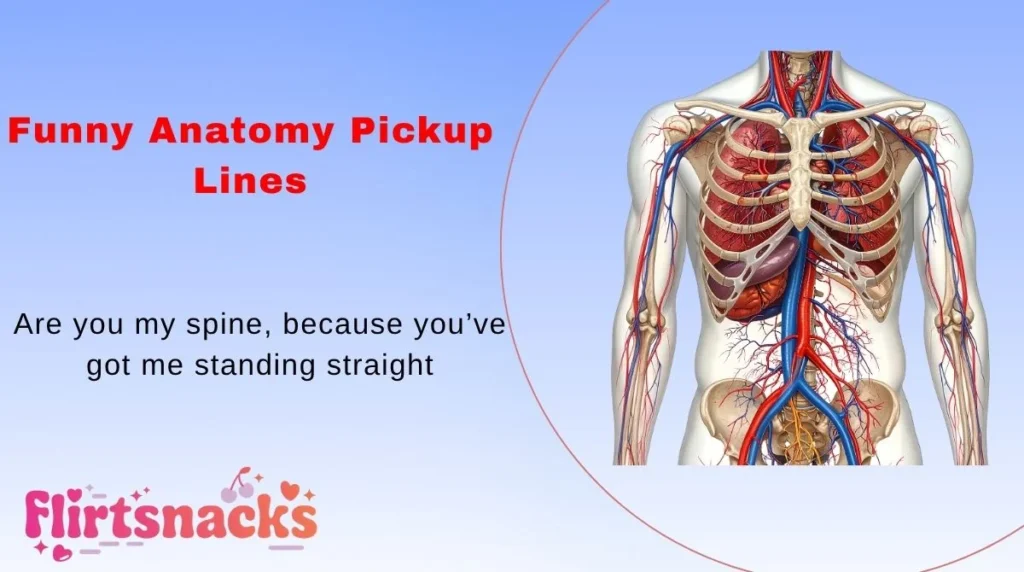 Funny Anatomy Pickup Lines