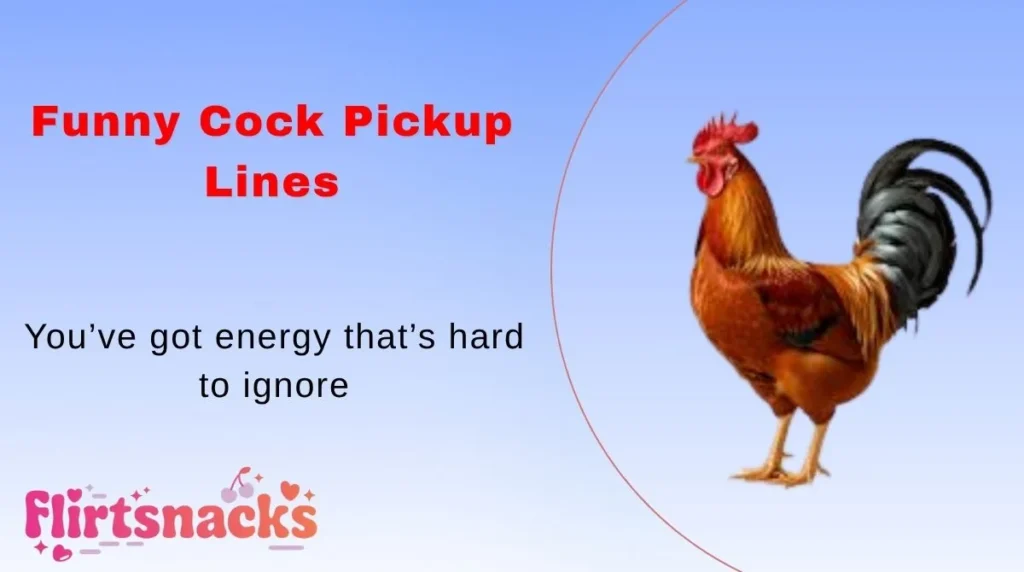 Funny Cock Pickup Lines