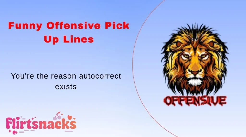 Funny Offensive Pick Up Lines