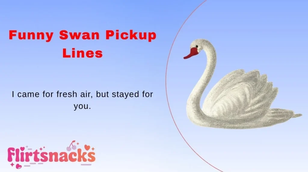 Funny Swan Pickup Lines