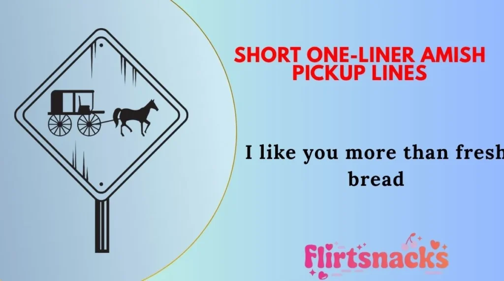 Short One-Liner Amish Pickup Lines