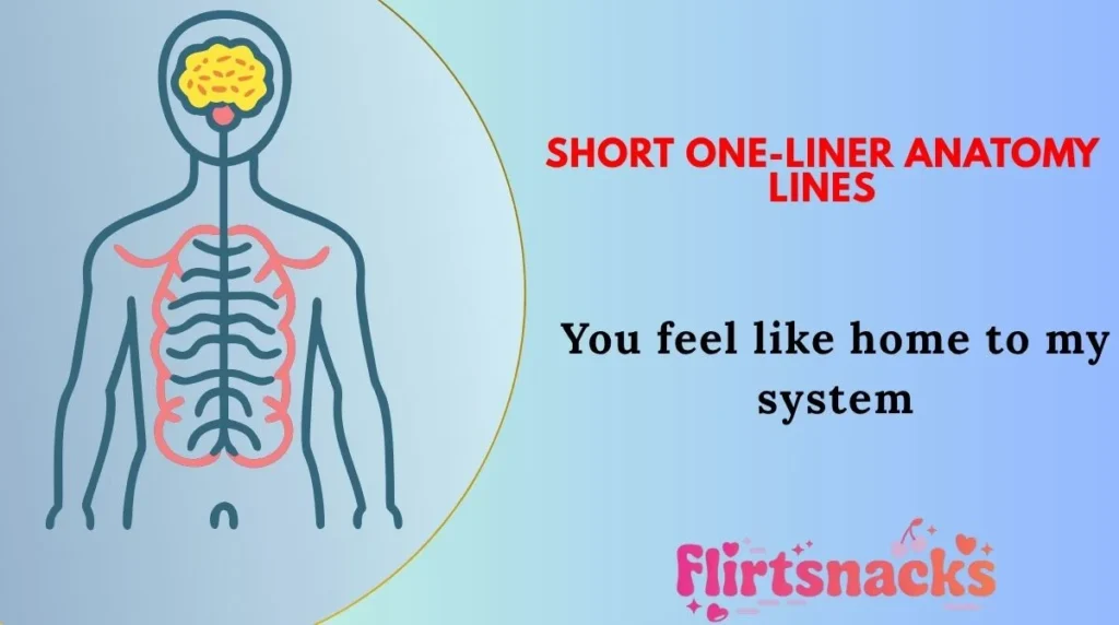 Short One-Liner Anatomy Lines