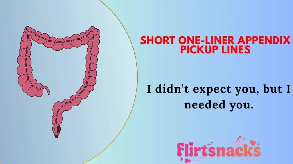 Short One-Liner Appendix Pickup Lines