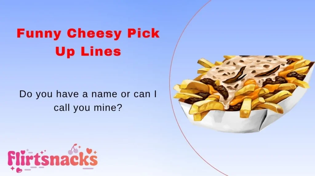 Funny Cheesy Pick Up Lines