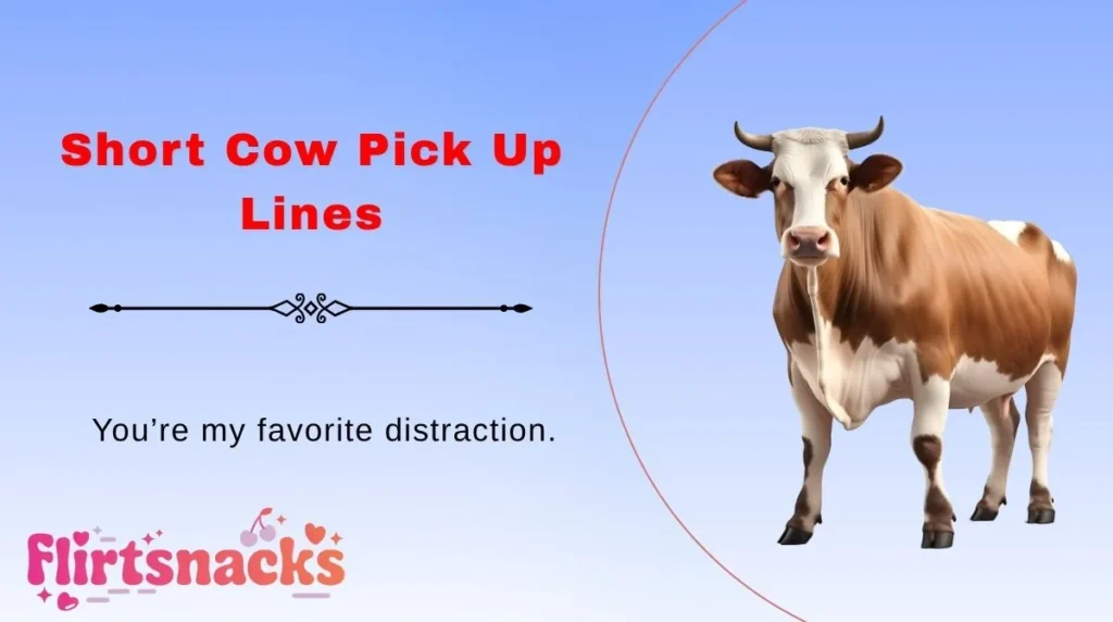 Short Cow Pick Up Lines