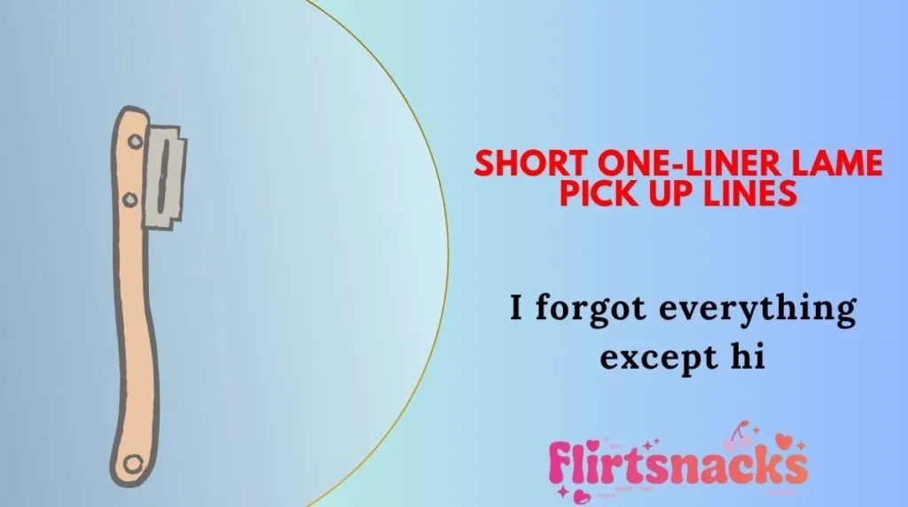 Short One-Liner Lame Pick Up Lines