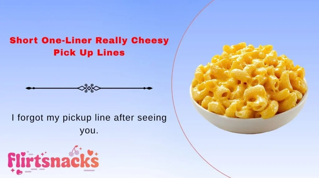 Short One-Liner Really Cheesy Pick Up Lines
