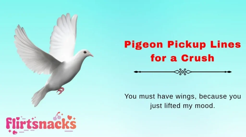 Pigeon Pickup Lines for a Crush