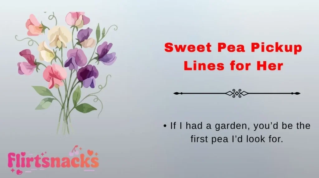Sweet Pea Pickup Lines for Her